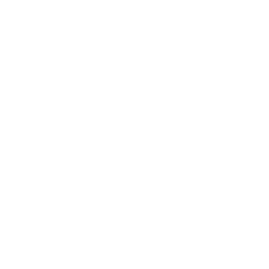 Hvite "MG"-initialer i åttekant, bilmerke-logo.